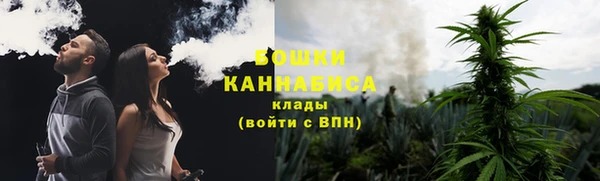 бутират Белокуриха