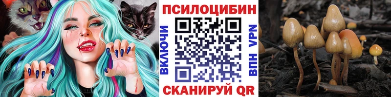 гидра ССЫЛКА  Кстово  Галлюциногенные грибы прущие грибы  продажа наркотиков 